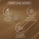 BELLAVITA EMBAROUGE LUMIORA EDP 100ML woda perfumowana unisex