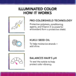 BUMBLE AND BUMBLE ILLUMINATED COLOR SHAMPOO 250ML VEGAN szampon chroniący kolor
