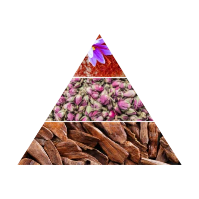 97b99deded0a7728205f7bad7aee08df