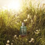 Swiss Army Morning Dew Victorinox 100 ml woda toaletowa damska
