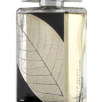 LATTAFA Najdia 100 ml EDP + DEO woda perfumowana unisex