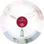 Swiss Army Morning Dew Victorinox 100 ml woda toaletowa damska