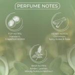 BELLAVITA KÉNAZ TRIUMPH EDP 100ML woda perfumowana męska