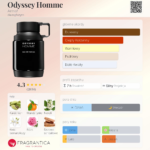 ARMAF ODYSSEY HOMME 100ML woda perfumowana męska