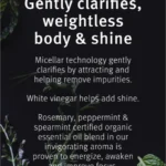 Aveda Rosemary Mint Weightless Conditioner łagodna odżywka włosów 200 ml