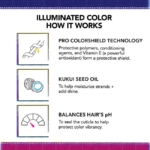 BUMBLE AND BUMBLE ILLUMINATED COLOR CONDITIONER 200ML VEGAN nawilżająca odżywka