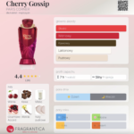 Paris Corner Emir Cherry Gossip 100ml woda perfumowana damska