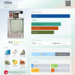 LATTAFA ATLAS EDP U 55 ml woda perfumowana unisex