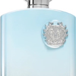 AFNAN SUPREMACY IN HEAVEN EDP M 100ML woda perfumowana męska