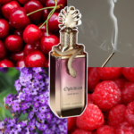 PARIS CORNER Ophidian Black Cherry 100 ml woda perfumowana unisex