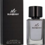 BURBERRY MR BURBERRY EDT M 100ML woda toaletowa męska