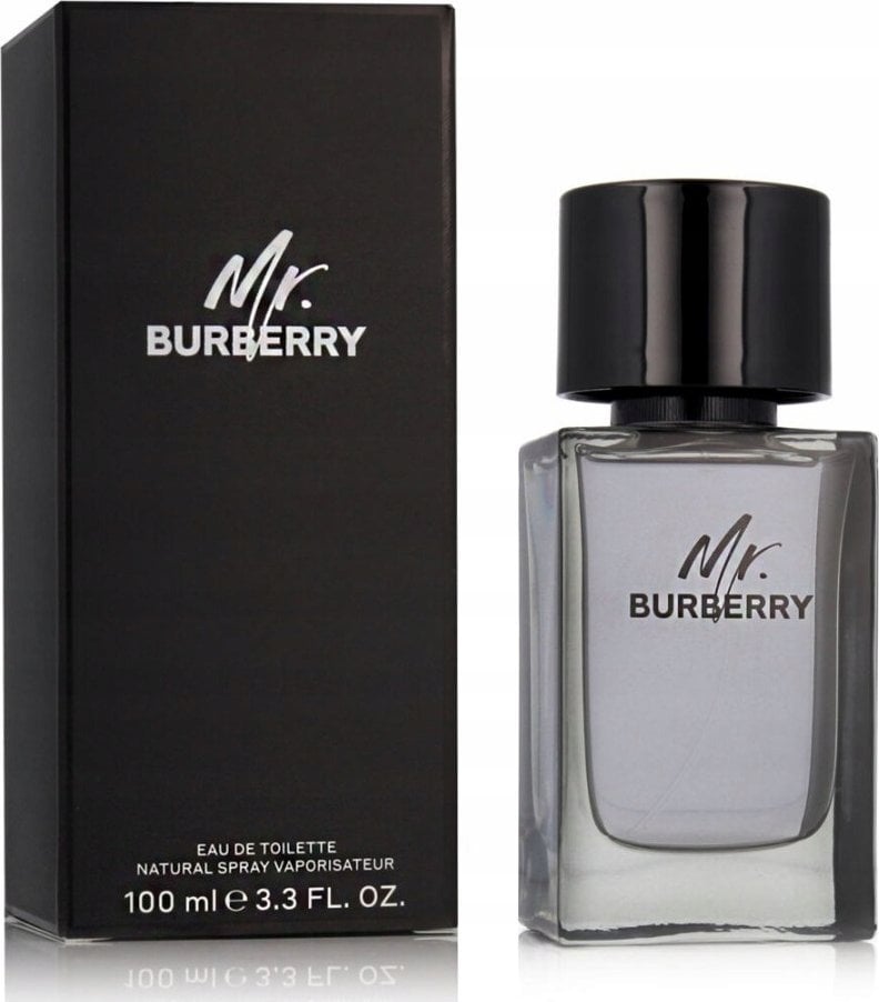 BURBERRY MR BURBERRY EDT M 100ML woda toaletowa męska