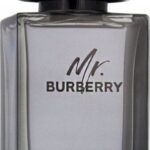 BURBERRY MR BURBERRY EDT M 100ML woda toaletowa męska