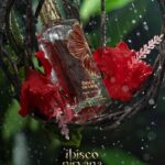 Paris Corner Ibisco Nirvana Edp woda perfumowana unisex, 65 ml