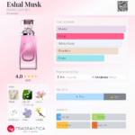PARIS CORNER ESHAL MUSK EDP 100ML woda perfumowana damska