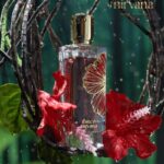 Paris Corner Ibisco Nirvana Edp woda perfumowana unisex, 65 ml