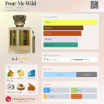 PARIS CORNER EMIR POUR ME WILD 100ML woda perfumowana unisex